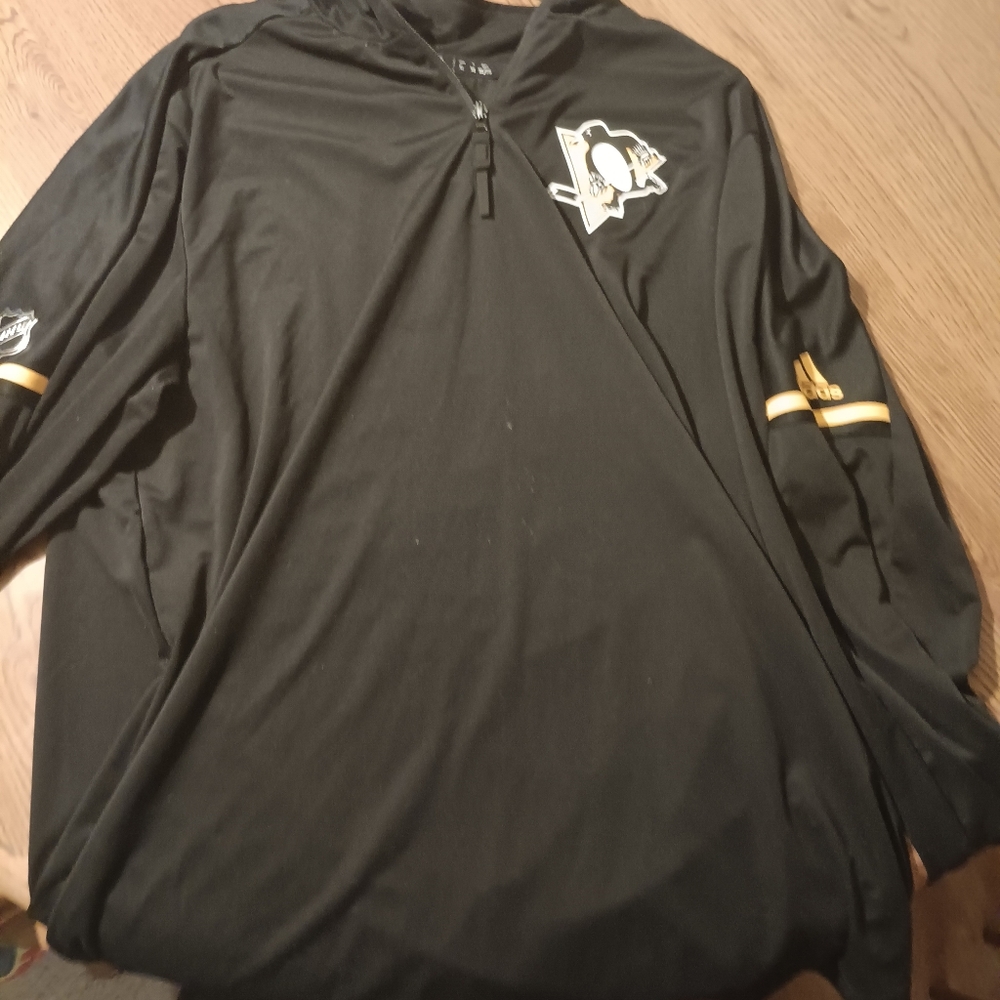 Pittsburgh penguins pull over